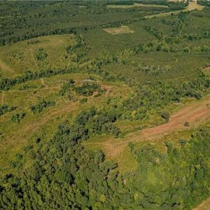 Photo #11 of Fitch, Yanceyville, NC 72.1 acres
