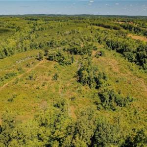 Photo #4 of Fitch, Yanceyville, NC 72.1 acres