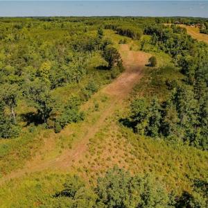 Photo #8 of Fitch, Yanceyville, NC 72.1 acres