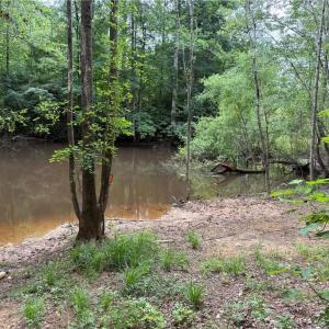 Photo #2 of 27.8 Rock Haven, King, NC 27.8 acres
