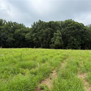 Photo #16 of 27.8 Rock Haven, King, NC 27.8 acres
