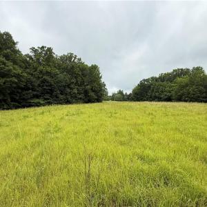 Photo #22 of 27.8 Rock Haven, King, NC 27.8 acres