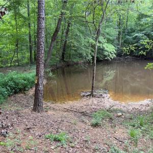 Photo #1 of 27.8 Rock Haven, King, NC 27.8 acres