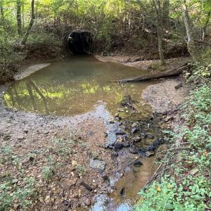 Photo #28 of 27.8 Rock Haven, King, NC 27.8 acres