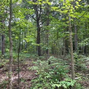 Photo #2 of LT 17 Old Mill, Providence, NC 5.0 acres