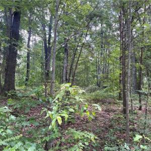 Photo #7 of LT 17 Old Mill, Providence, NC 5.0 acres