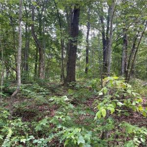 Photo #1 of LT 17 Old Mill, Providence, NC 5.0 acres