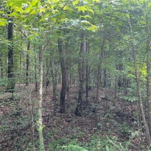 Photo #4 of LT 17 Old Mill, Providence, NC 5.0 acres