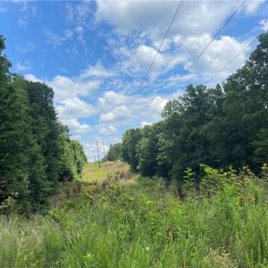 Photo #8 of LT 17 Old Mill, Providence, NC 5.0 acres
