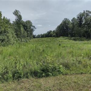 Photo #2 of NC Highway 135, Mayodan, NC 3.0 acres
