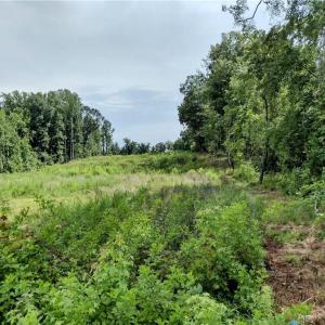 Photo #1 of NC Highway 135, Mayodan, NC 3.0 acres
