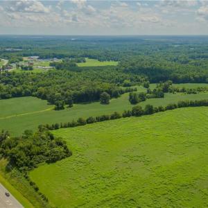 Photo #6 of 5150 NC Highway 8, Lexington, NC 64.7 acres