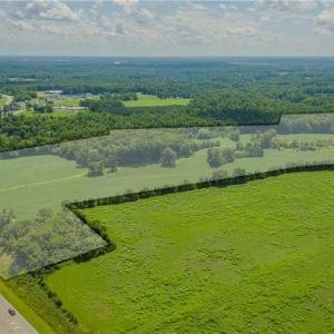 Photo #3 of 5150 NC Highway 8, Lexington, NC 64.7 acres