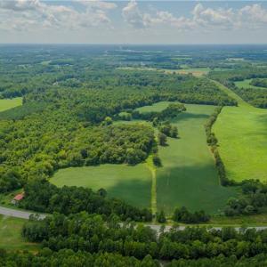 Photo #4 of 5150 NC Highway 8, Lexington, NC 64.7 acres