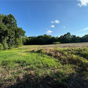 Photo #27 of Candy Creek, Reidsville, NC 110.6 acres