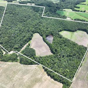 Photo #2 of Candy Creek, Reidsville, NC 110.6 acres