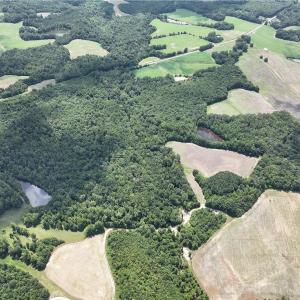 Photo #42 of Candy Creek, Reidsville, NC 110.6 acres