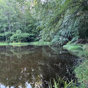 Photo #17 of Candy Creek, Reidsville, NC 110.6 acres