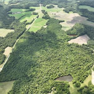 Photo #43 of Candy Creek, Reidsville, NC 110.6 acres