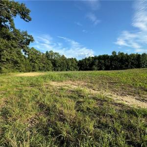 Photo #26 of Candy Creek, Reidsville, NC 110.6 acres