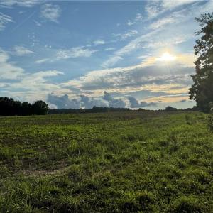 Photo #22 of Candy Creek, Reidsville, NC 110.6 acres