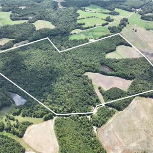 Photo #3 of Candy Creek, Reidsville, NC 110.6 acres