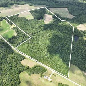 Photo #1 of Candy Creek, Reidsville, NC 110.6 acres