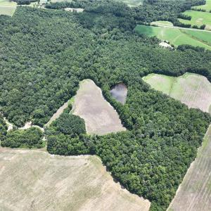 Photo #20 of Candy Creek, Reidsville, NC 110.6 acres