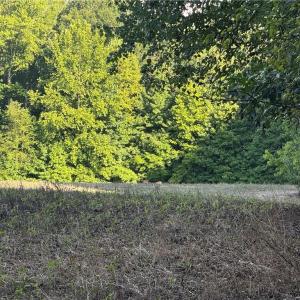 Photo #9 of Candy Creek, Reidsville, NC 110.6 acres