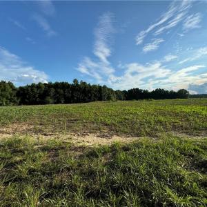 Photo #24 of Candy Creek, Reidsville, NC 110.6 acres