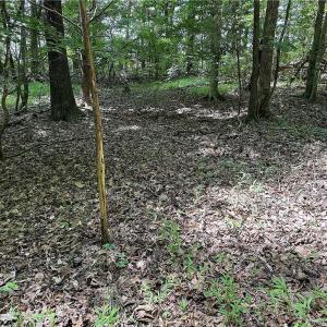 Photo #34 of Candy Creek, Reidsville, NC 110.6 acres