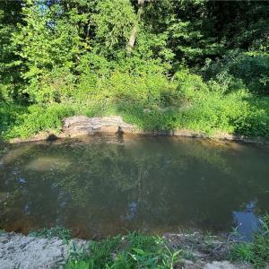 Photo #38 of Candy Creek, Reidsville, NC 110.6 acres