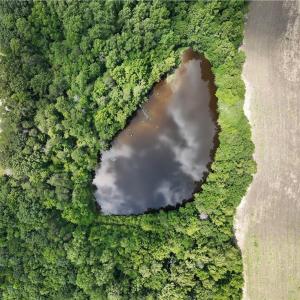 Photo #14 of Candy Creek, Reidsville, NC 110.6 acres