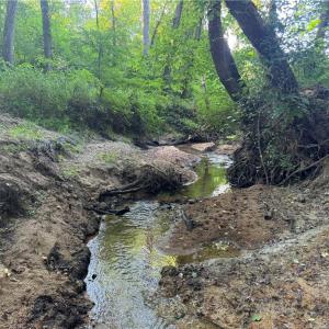 Photo #41 of Candy Creek, Reidsville, NC 110.6 acres