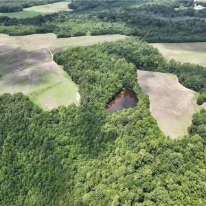 Photo #45 of Candy Creek, Reidsville, NC 110.6 acres