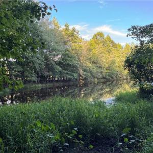 Photo #18 of Candy Creek, Reidsville, NC 110.6 acres