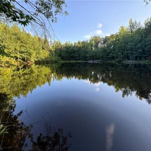 Photo #15 of Candy Creek, Reidsville, NC 110.6 acres