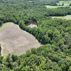 Photo #19 of Candy Creek, Reidsville, NC 110.6 acres