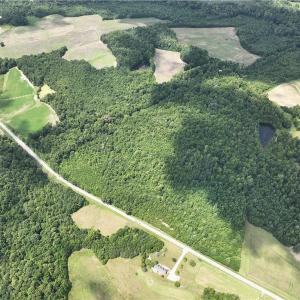 Photo #44 of Candy Creek, Reidsville, NC 110.6 acres