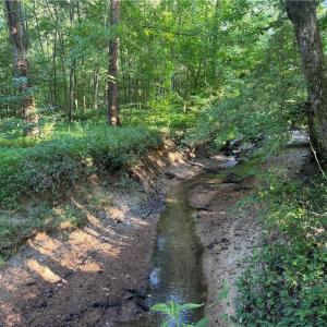 Photo #39 of Candy Creek, Reidsville, NC 110.6 acres