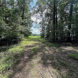 Photo #29 of Candy Creek, Reidsville, NC 110.6 acres