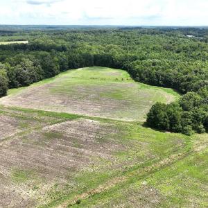 Photo #21 of Candy Creek, Reidsville, NC 110.6 acres