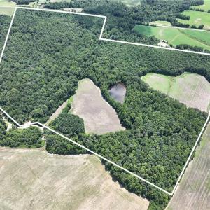 Photo #2 of Candy Creek, Reidsville, NC 110.6 acres