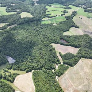 Photo #42 of Candy Creek, Reidsville, NC 110.6 acres