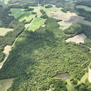Photo #43 of Candy Creek, Reidsville, NC 110.6 acres