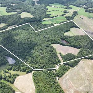 Photo #3 of Candy Creek, Reidsville, NC 110.6 acres