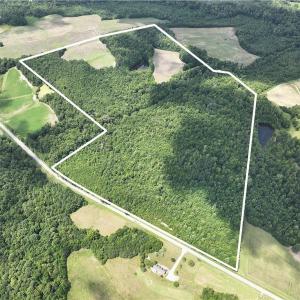 Photo #1 of Candy Creek, Reidsville, NC 110.6 acres