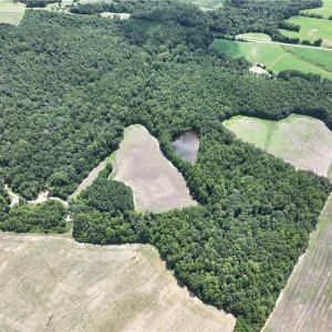 Photo #20 of Candy Creek, Reidsville, NC 110.6 acres