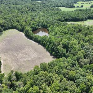Photo #19 of Candy Creek, Reidsville, NC 110.6 acres