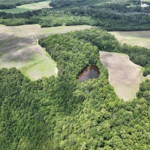 Photo #45 of Candy Creek, Reidsville, NC 110.6 acres